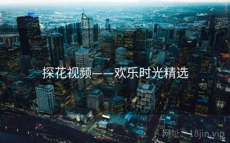 探花视频——欢乐时光精选