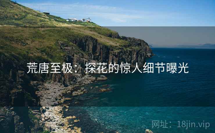 荒唐至极：探花的惊人细节曝光