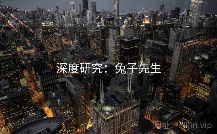 深度研究：兔子先生