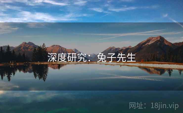 深度研究：兔子先生