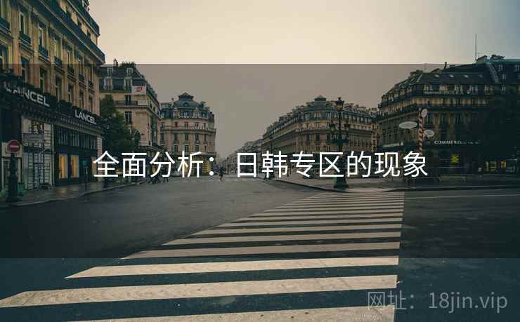全面分析：日韩专区的现象
