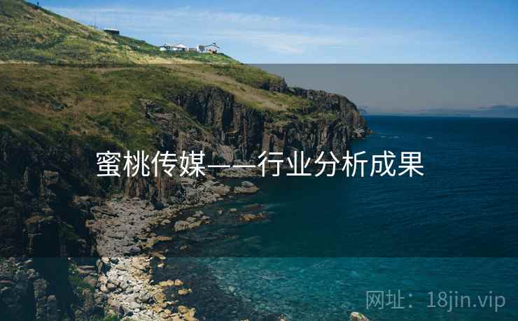 蜜桃传媒——行业分析成果