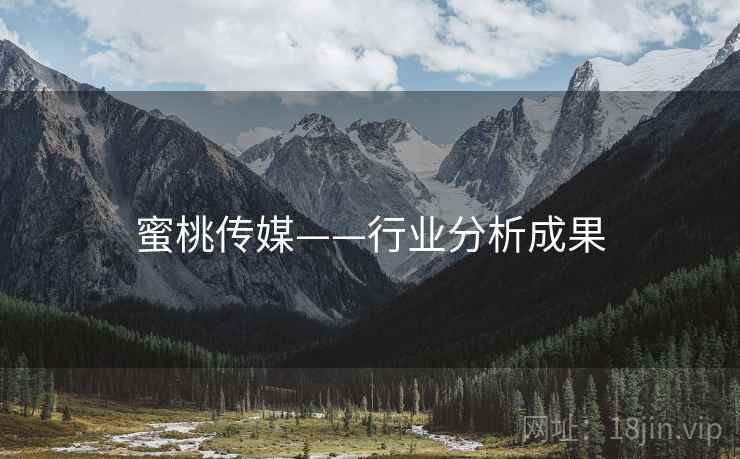 蜜桃传媒——行业分析成果