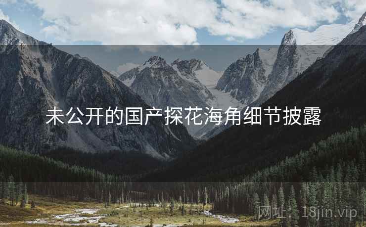 未公开的国产探花海角细节披露