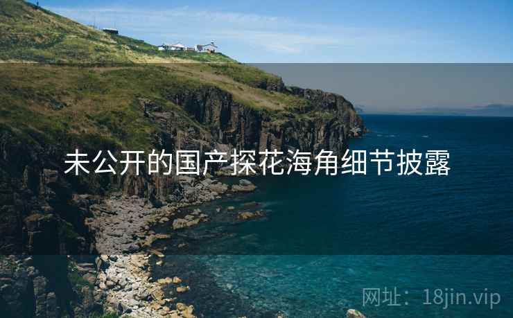 未公开的国产探花海角细节披露