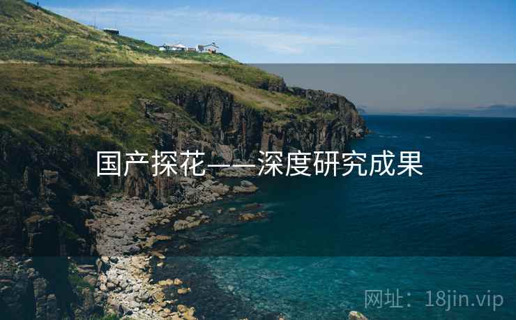 国产探花——深度研究成果