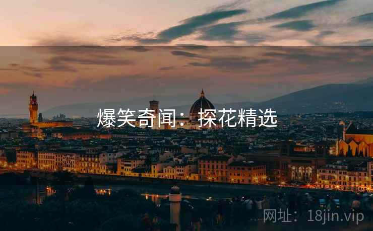 爆笑奇闻：探花精选