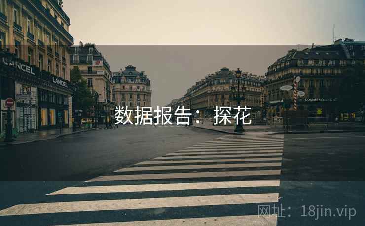 数据报告:探花 数据报告:探花