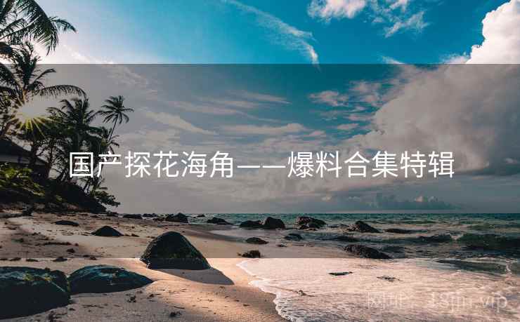 国产探花海角——爆料合集特辑