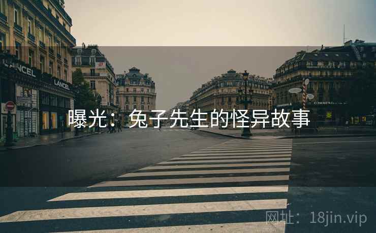 曝光：兔子先生的怪异故事
