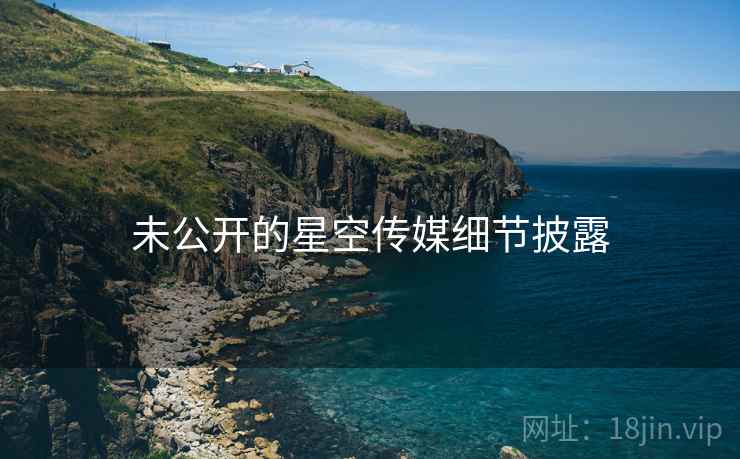 未公开的星空传媒细节披露