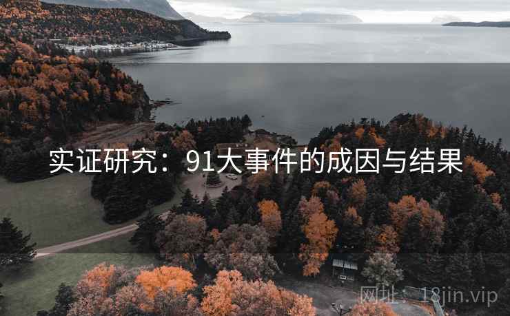 实证研究：91大事件的成因与结果