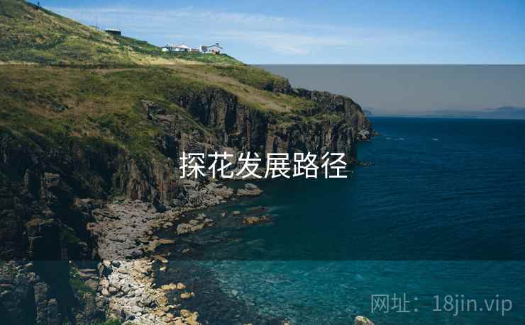 探花发展路径