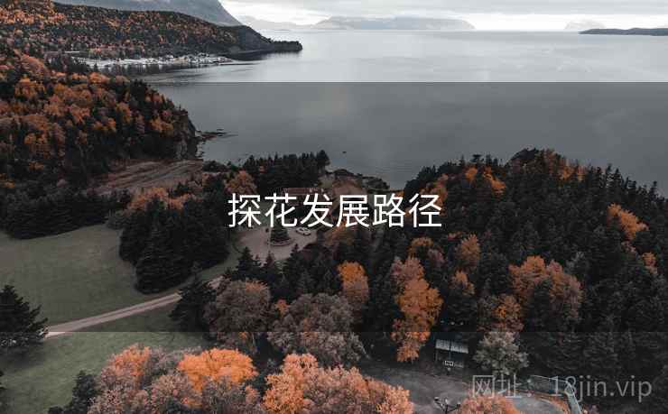 探花发展路径