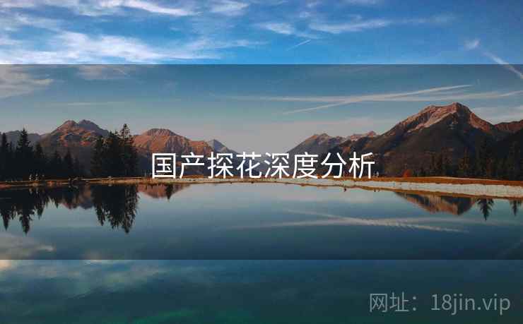 国产探花深度分析