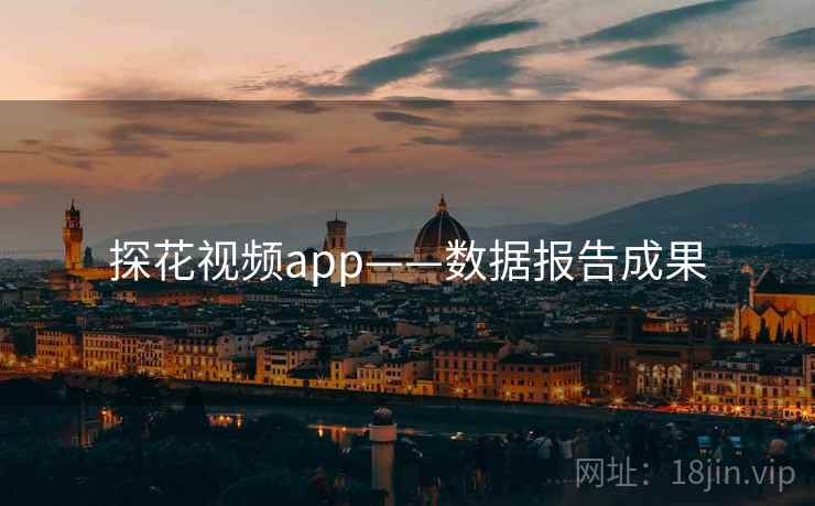 探花视频app——数据报告成果