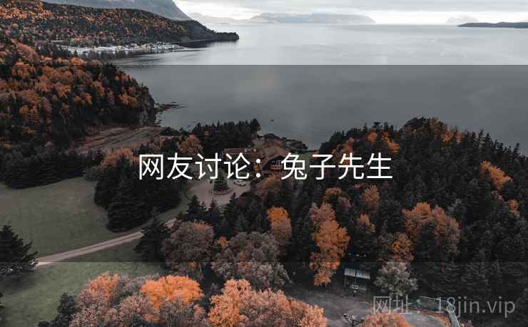 网友讨论：兔子先生