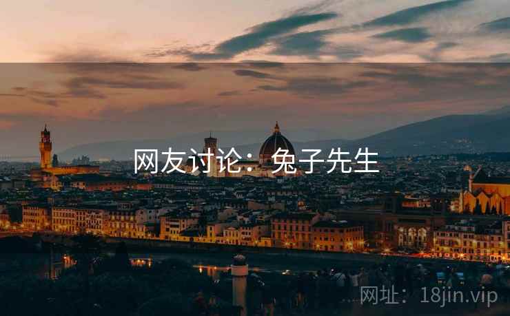 网友讨论：兔子先生