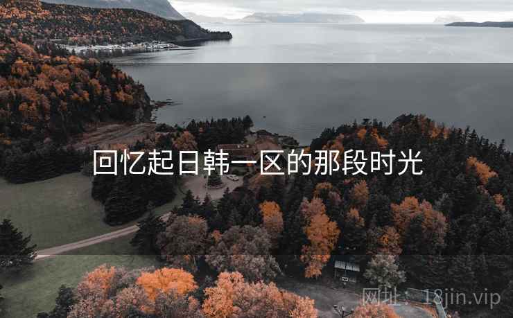 回忆起日韩一区的那段时光
