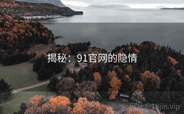 揭秘：91官网的隐情