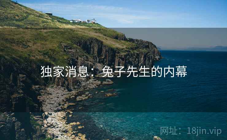 独家消息：兔子先生的内幕