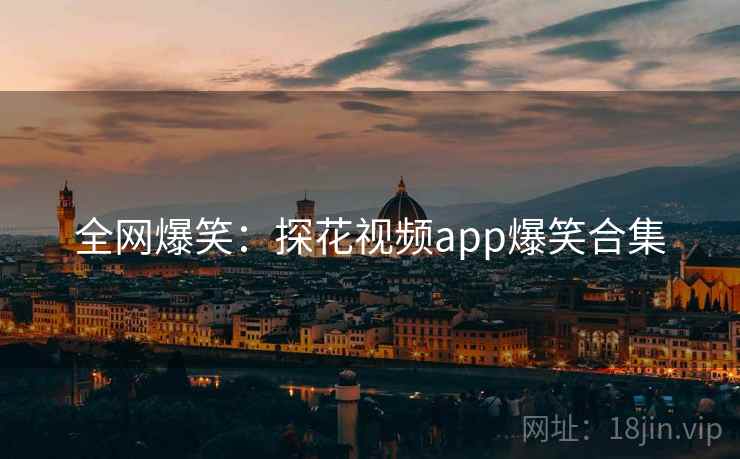 全网爆笑：探花视频app爆笑合集