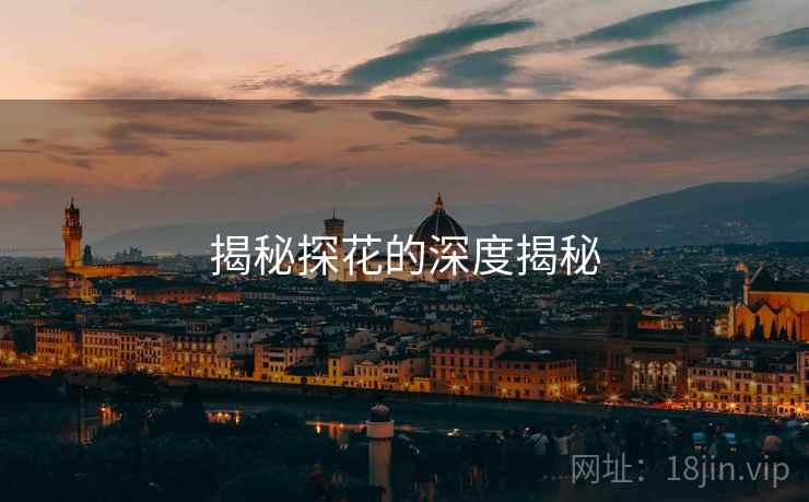 揭秘探花的深度揭秘