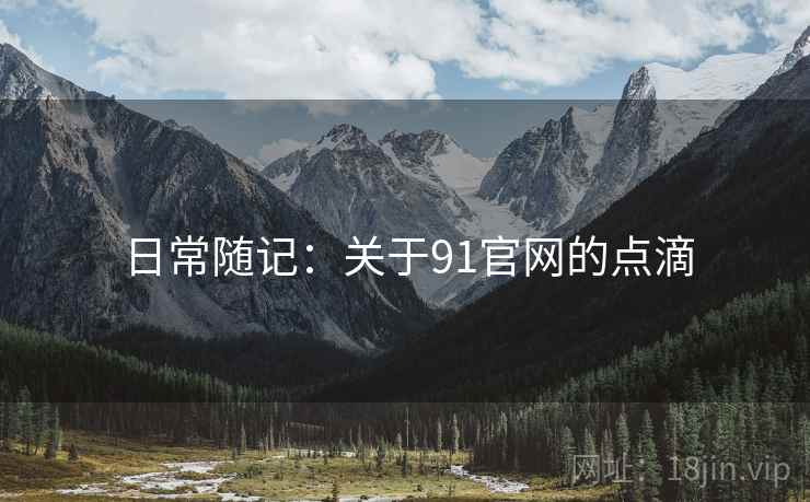 日常随记：关于91官网的点滴