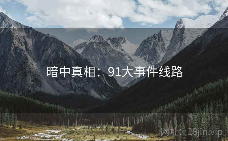 暗中真相：91大事件线路