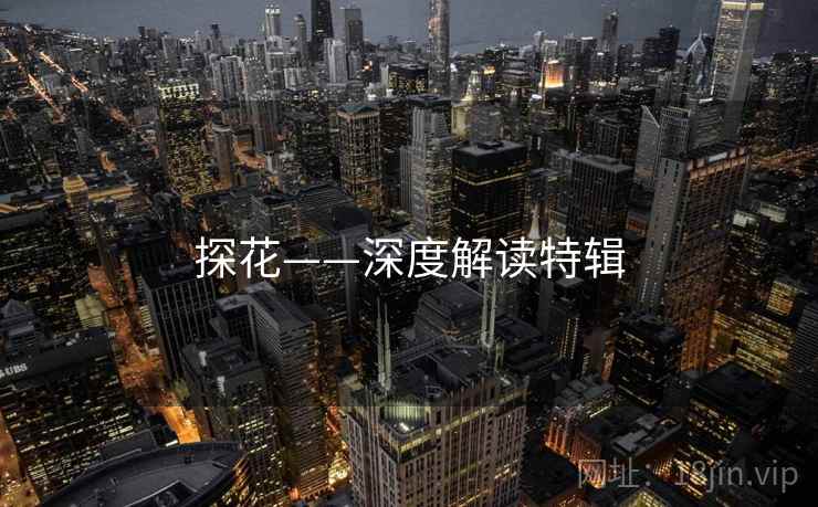 探花——深度解读特辑