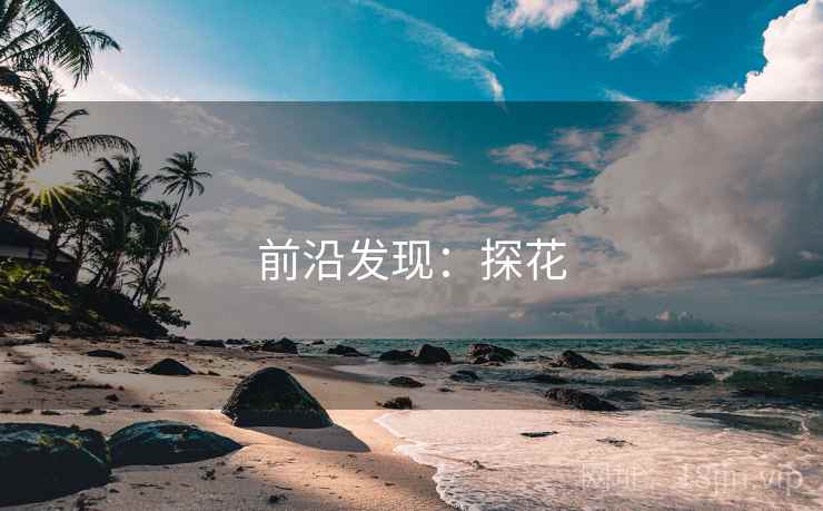 前沿发现：探花