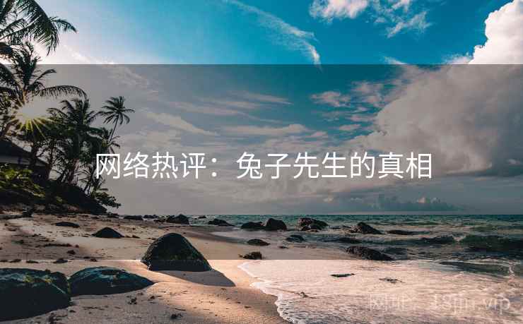 网络热评:兔子先生的真相 网络热评:兔子先生的真相